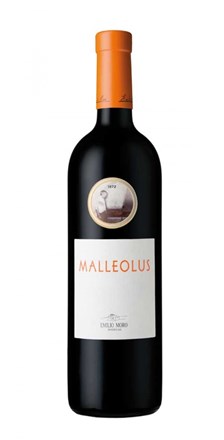 Malleolus - DO Ribera del Duero - Emilio Moro - 2022 343003-16
