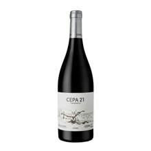 Cepa 21 - DO Ribera del Duero - Cepa 21 - 2015 343010